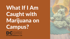 What If I Am Caught with Marijuana on Campus? - dc student defense