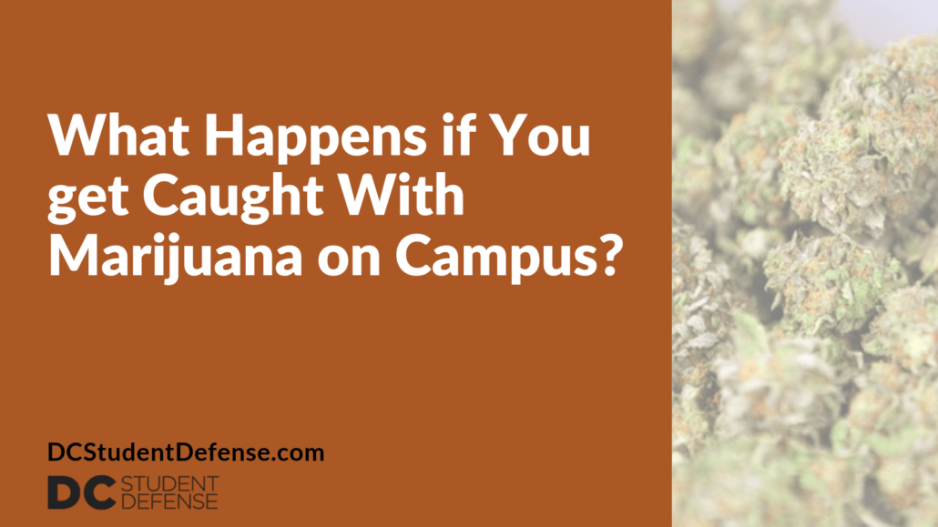 What Happens if You get Caught With Marijuana on Campus - dc student defense
