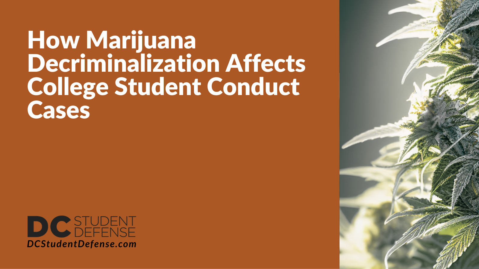 How Marijuana Decriminalization Affects College Student Conduct Cases